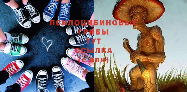 экстази Заводоуковск