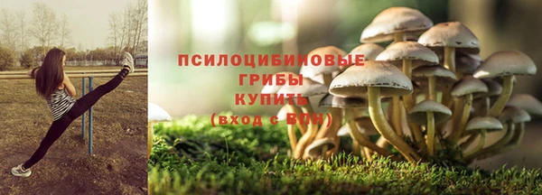 дмт Заволжск