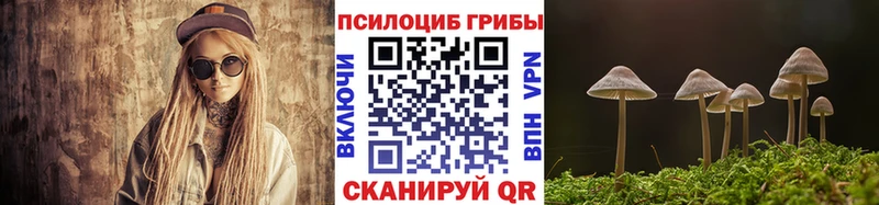 где продают   Раменское  Псилоцибиновые грибы Psilocybine cubensis 
