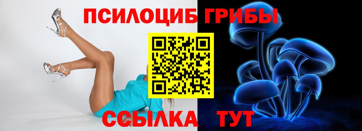 Галлюциногенные грибы Psilocybine cubensis Раменское
